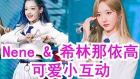 母猪产后拉稀仔猪也跟着拉稀该怎么办游戏画面